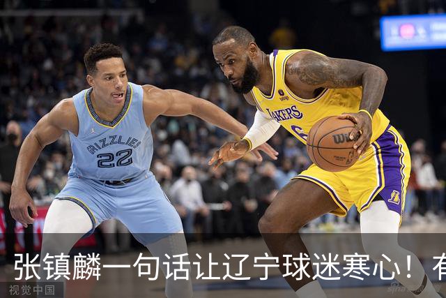 张镇麟一句话让辽宁球迷寒心！有些话不能说得太直白，耗子尾汁吧